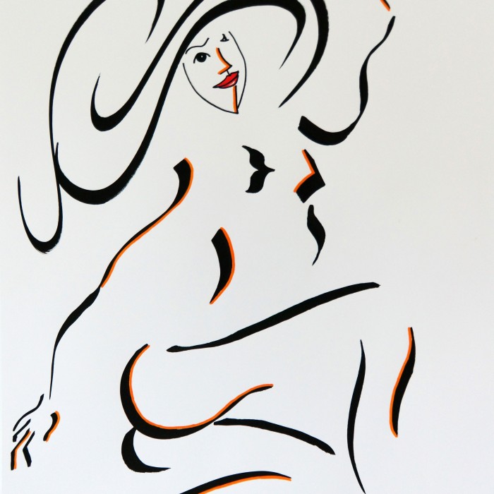 vide