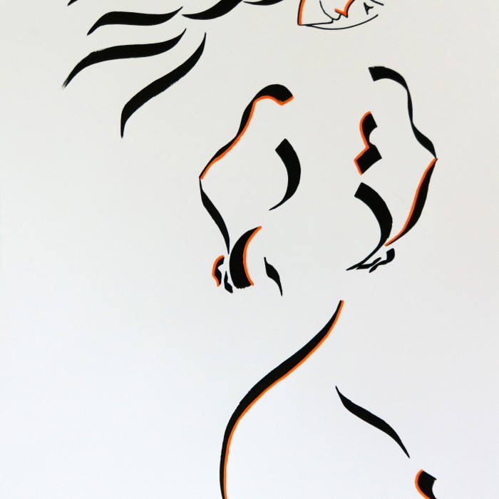 vide