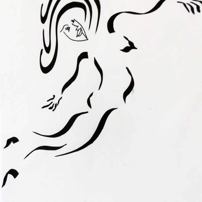 vide