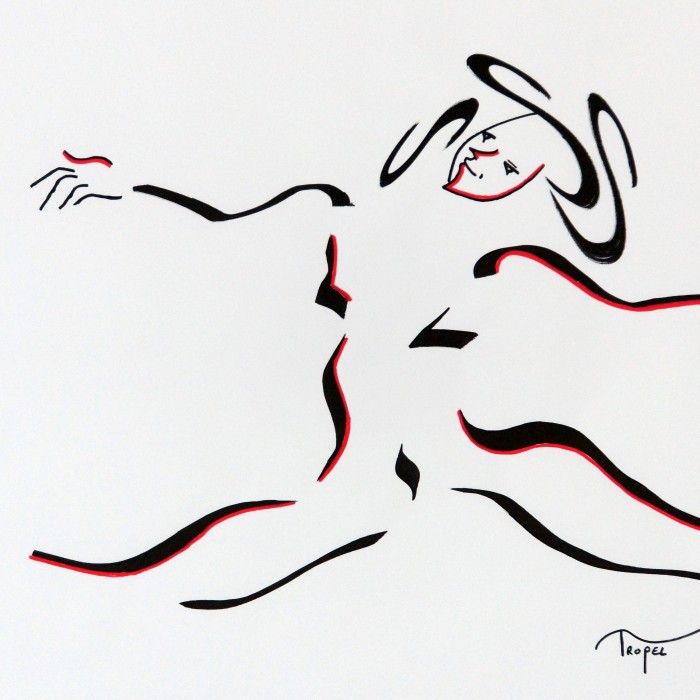 vide