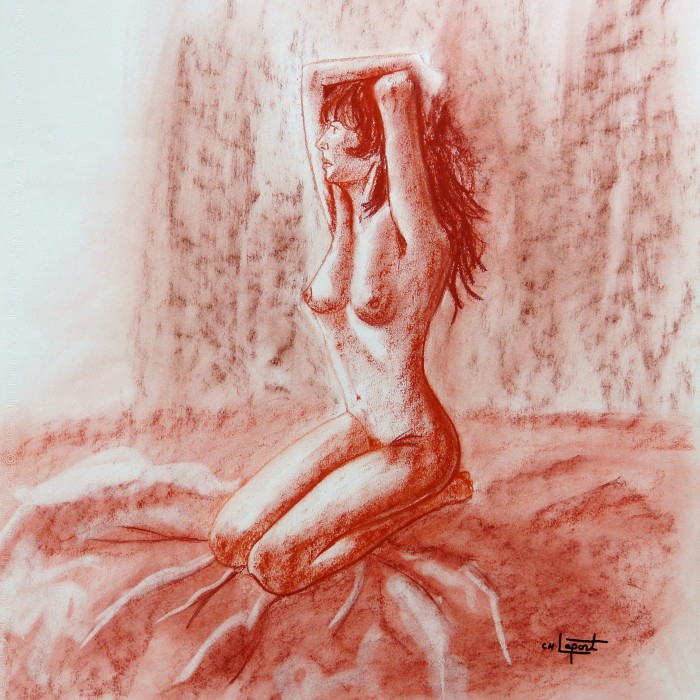 vide